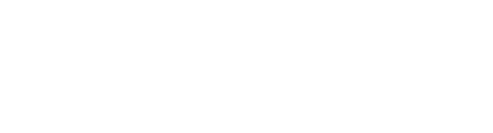 REVERSO